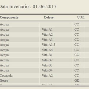 inventario dettaglio